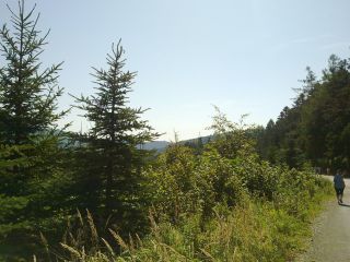 Zdjęcie 23